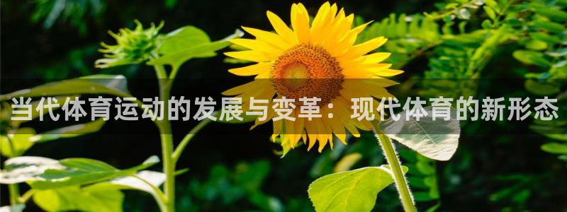 当代体育运动的发展与变革：现代体育的新形态