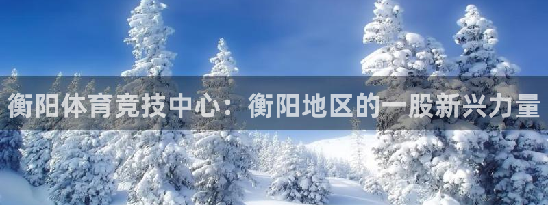 衡阳体育竞技中心：衡阳地区的一股新兴力量