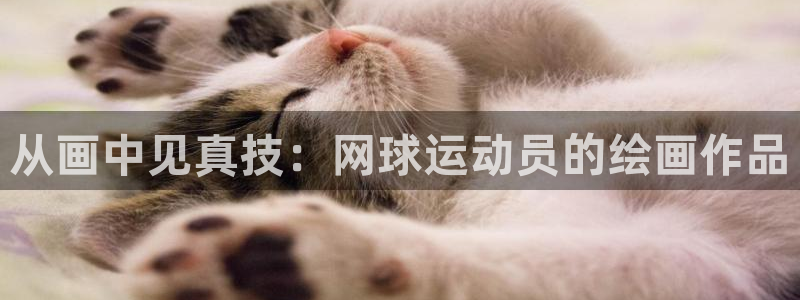 从画中见真技：网球运动员的绘画作品