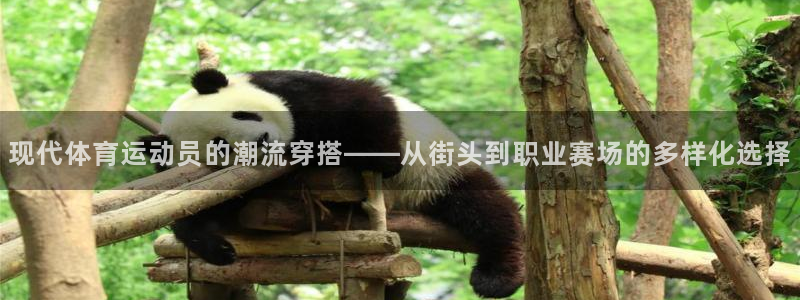 现代体育运动员的潮流穿搭——从街头到职业赛场的多样化选择