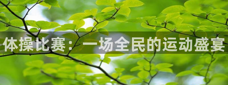 体操比赛：一场全民的运动盛宴