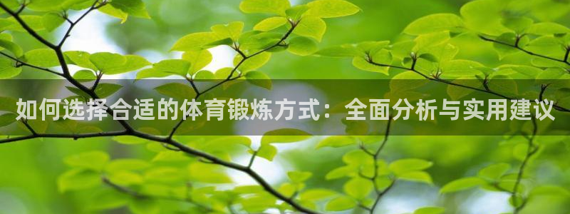 如何选择合适的体育锻炼方式：全面分析与实用建议