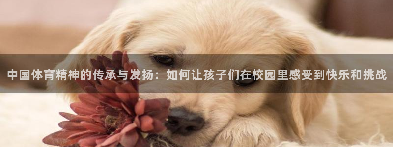 中国体育精神的传承与发扬：如何让孩子们在校园里感受到快乐和挑战