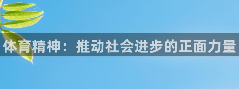 体育精神：推动社会进步的正面力量