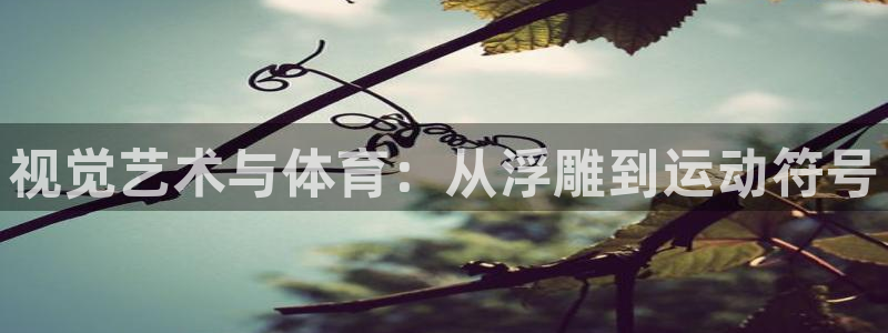 视觉艺术与体育：从浮雕到运动符号