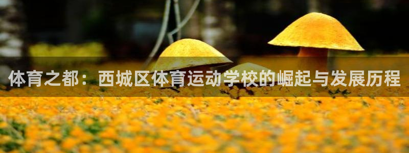体育之都：西城区体育运动学校的崛起与发展历程