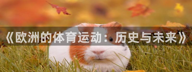 《欧洲的体育运动：历史与未来》