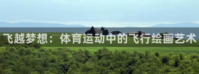 飞越梦想：体育运动中的飞行绘画艺术