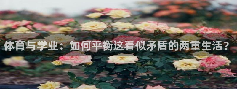 体育与学业：如何平衡这看似矛盾的两重生活？