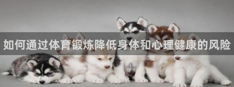 如何通过体育锻炼降低身体和心理健康的风险