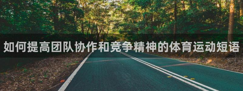 如何提高团队协作和竞争精神的体育运动短语