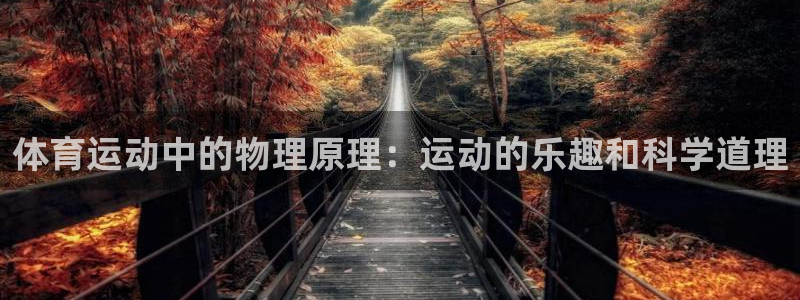 体育运动中的物理原理：运动的乐趣和科学道理