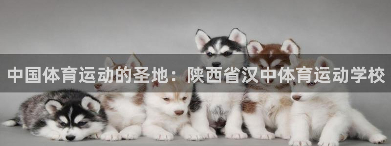 中国体育运动的圣地：陕西省汉中体育运动学校