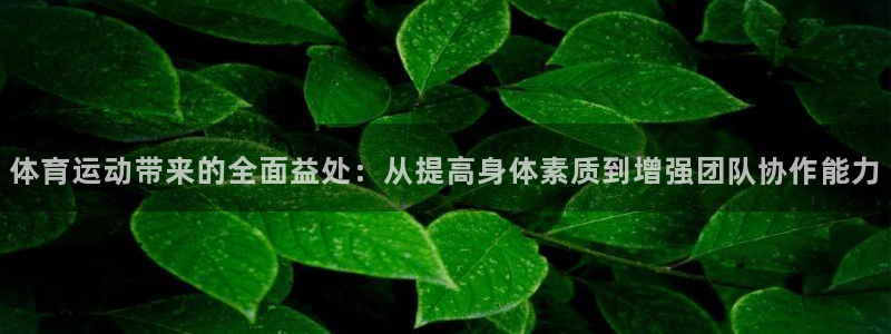 体育运动带来的全面益处：从提高身体素质到增强团队协作能力