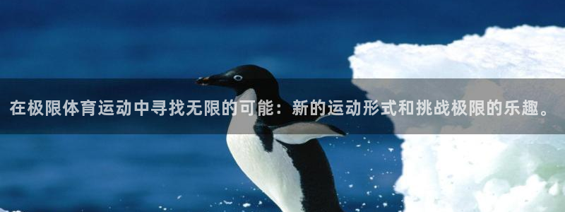 在极限体育运动中寻找无限的可能：新的运动形式和挑战极限的乐趣。