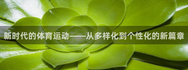 新时代的体育运动——从多样化到个性化的新篇章
