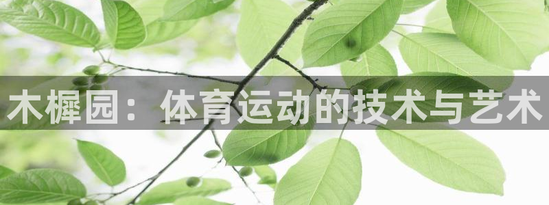 木樨园：体育运动的技术与艺术