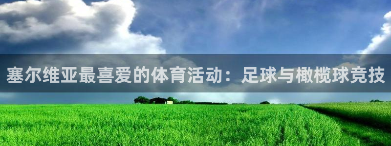塞尔维亚最喜爱的体育活动：足球与橄榄球竞技