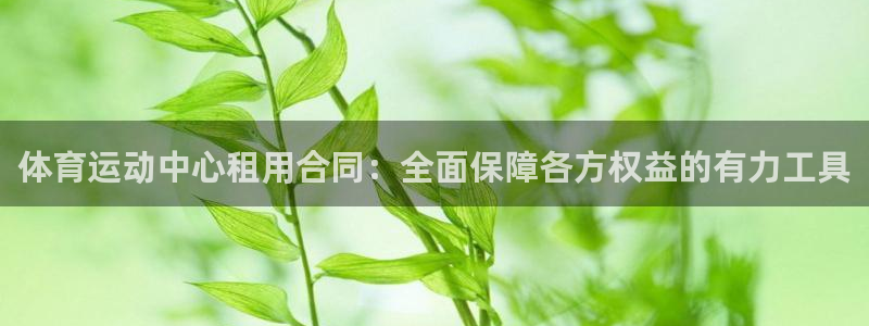 体育运动中心租用合同：全面保障各方权益的有力工具