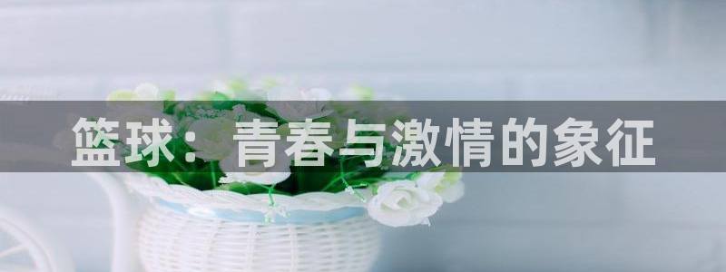 篮球：青春与激情的象征