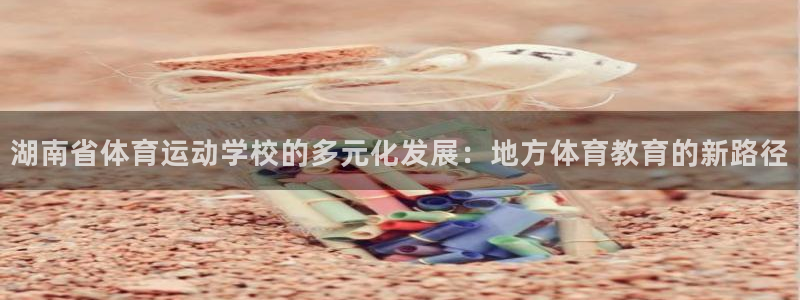 湖南省体育运动学校的多元化发展：地方体育教育的新路径