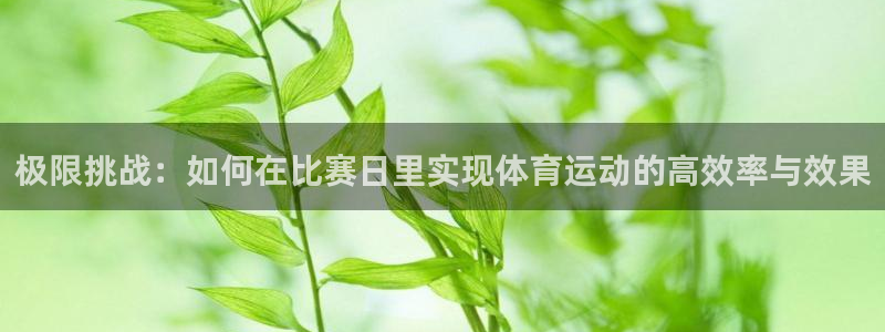 极限挑战：如何在比赛日里实现体育运动的高效率与效果