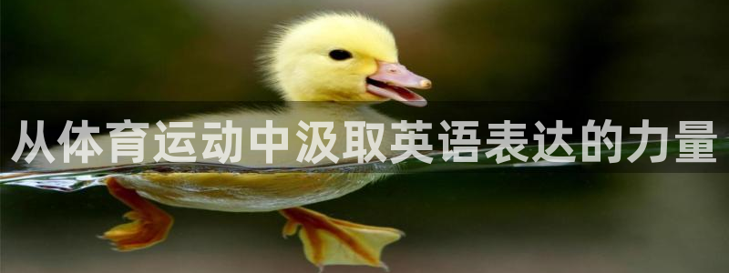 从体育运动中汲取英语表达的力量