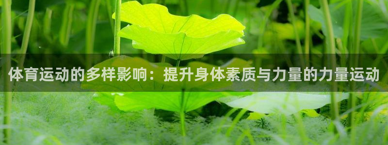 体育运动的多样影响：提升身体素质与力量的力量运动