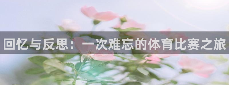 回忆与反思：一次难忘的体育比赛之旅