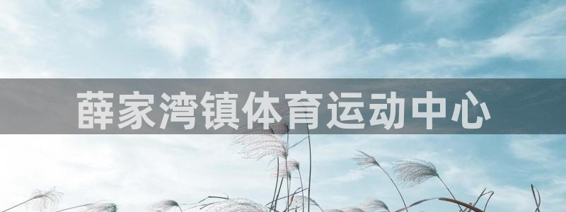 薛家湾镇体育运动中心