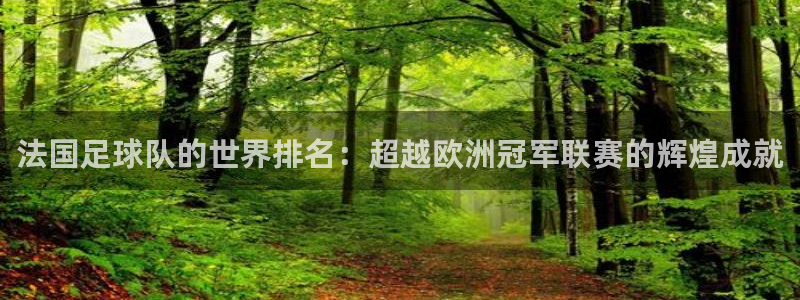 法国足球队的世界排名：超越欧洲冠军联赛的辉煌成就